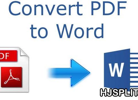 5 Metode Mengganti PDF ke Word Komplit!( Online serta Offline)